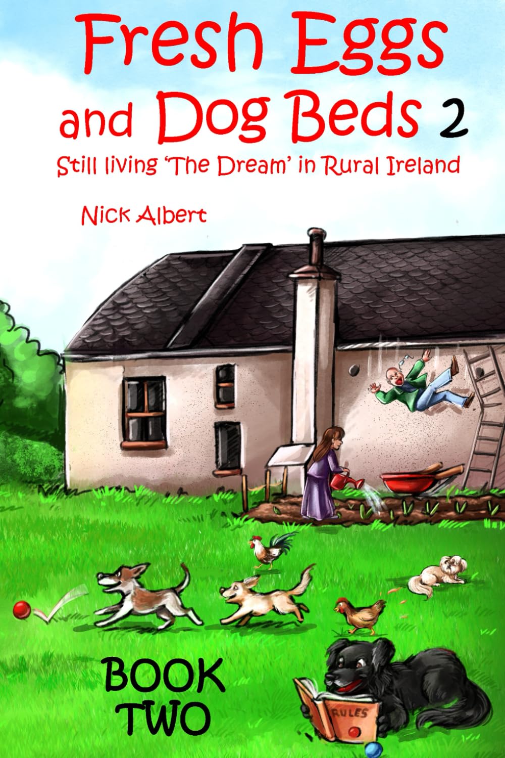 Fresh Eggs and Dog Beds 2: Still Living the Dream in Rural Ireland