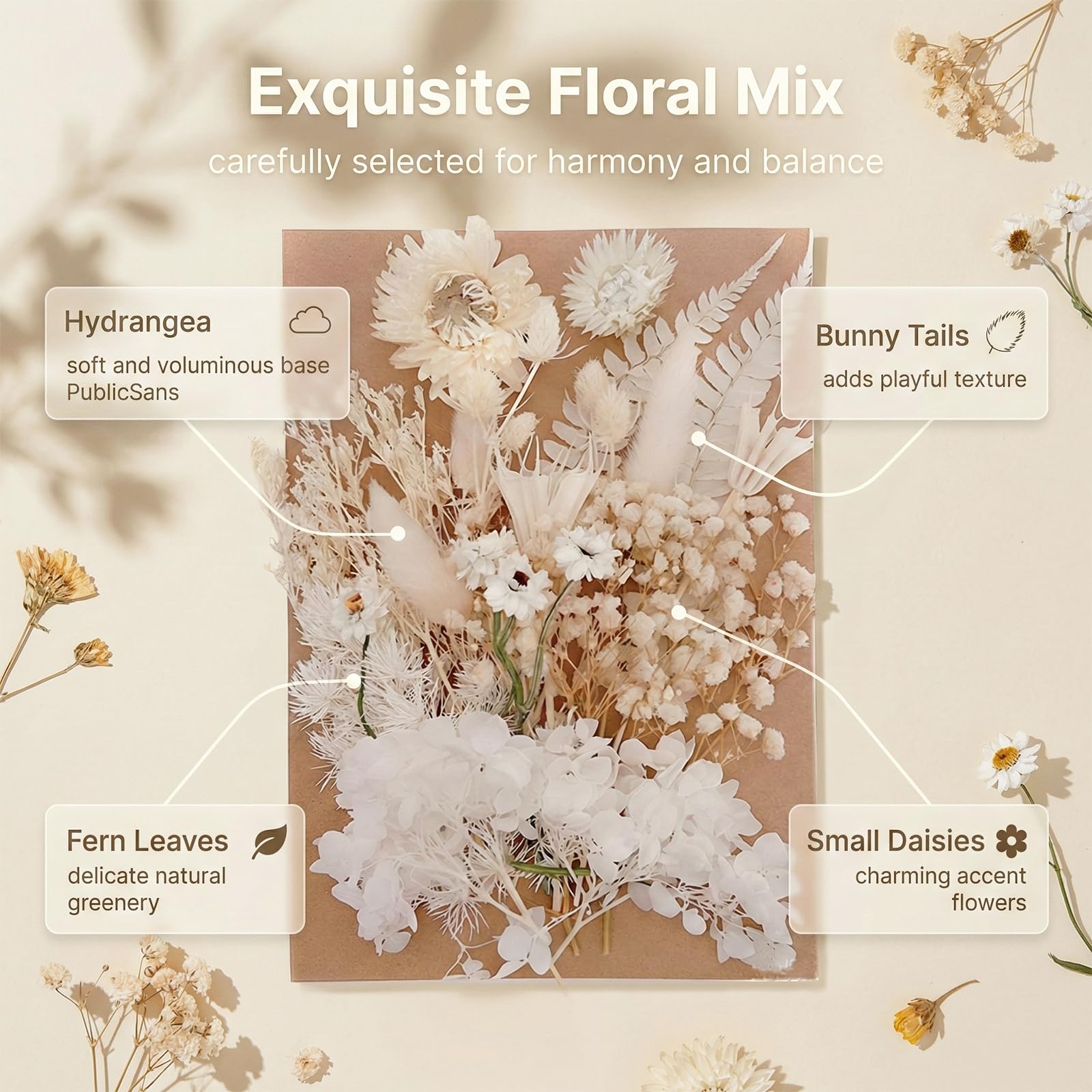 Fleurs Séchées Naturelles Miniatures pour Décoration Résine Époxy, DIY et Scrapbooking