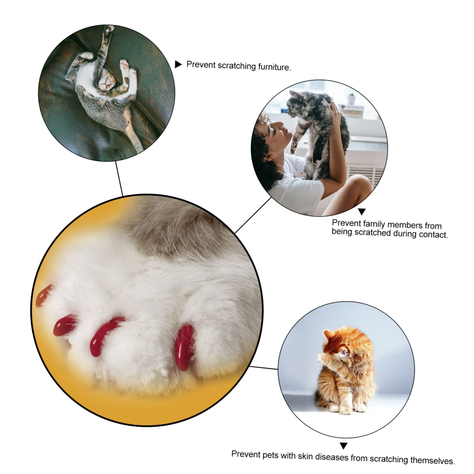 SUPVOX 320 Pcs Ensemble D'Ongles pour Animaux De Compagnie Capuchons De Griffes De Chaton Capuchons D'Ongles De Chaton Capuchon De Griffe De Chat Capuchon De Griffe d'animal De Compagnie