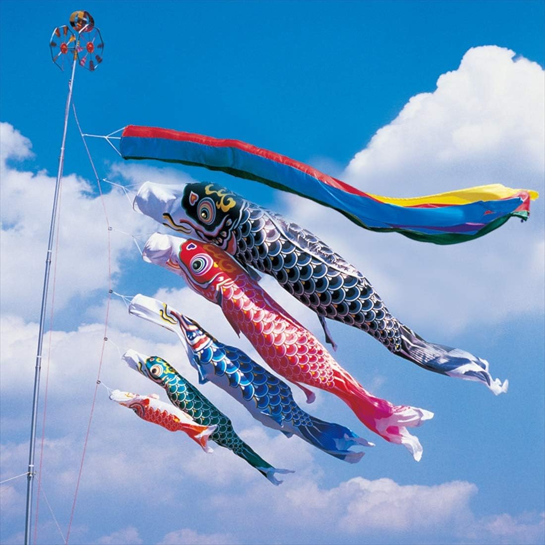 鯉のぼり ベランダ用 のぞみ鯉 15号 1.5m 6点 マンションスタンド 鯉5匹