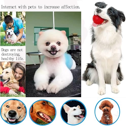 Miniatura 6 de Nlmskzzy Pelotas para perros, bolas chirriantes para perros pequeños, medianos y grandes, bolas de juguete chirriantes, 3 unidades