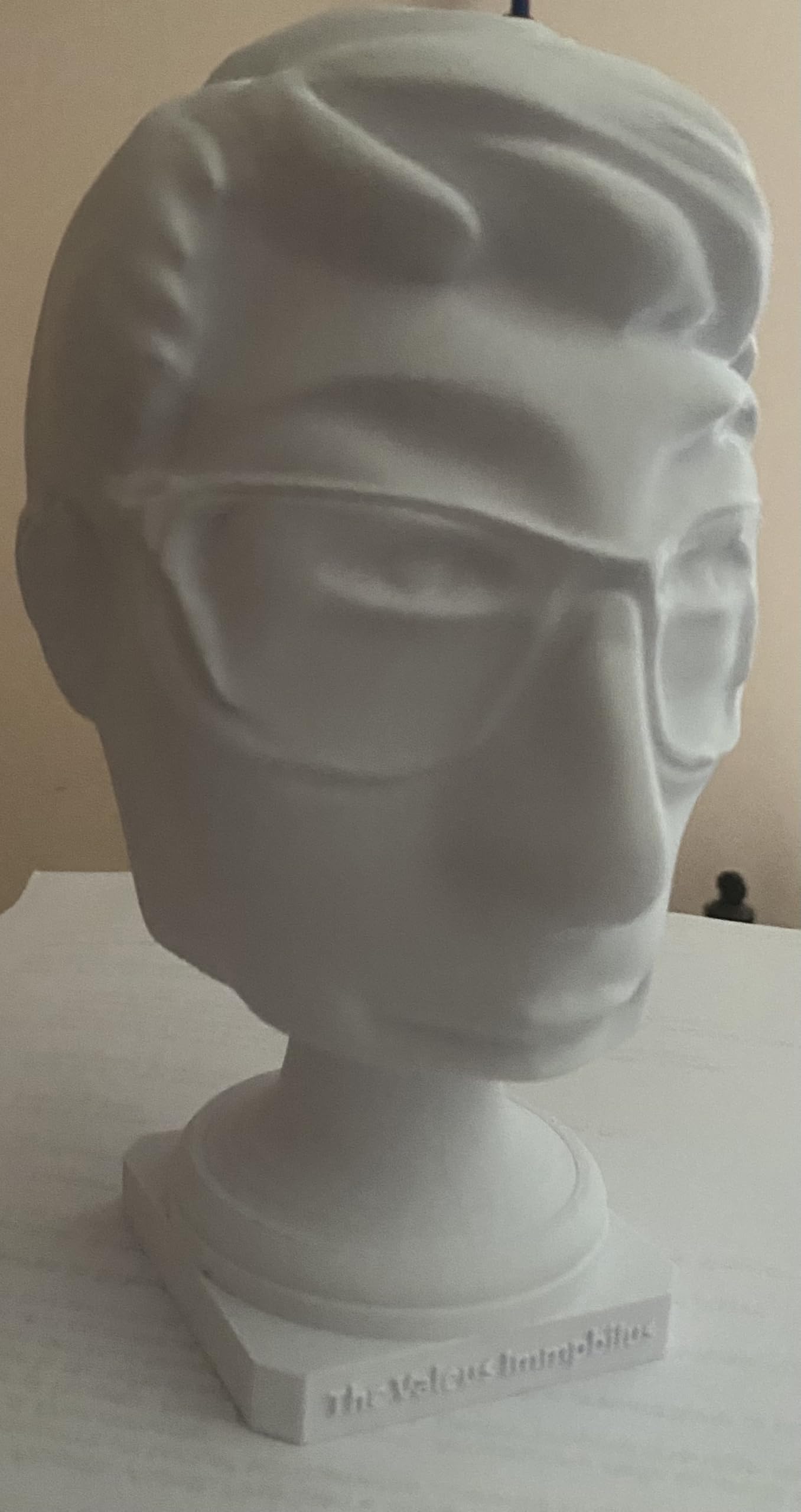 Busto 3D Personalizzato in Materiale Atossico, Stampa 3D di Persone e Animali, 20 x 20 x 35 cm, Bianco