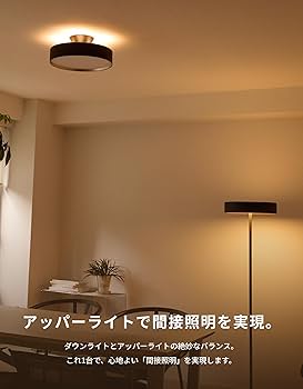 アートワークスタジオ グロー 4000 Glow LED-ceiling light｜ARTWORKSTUDIO公式