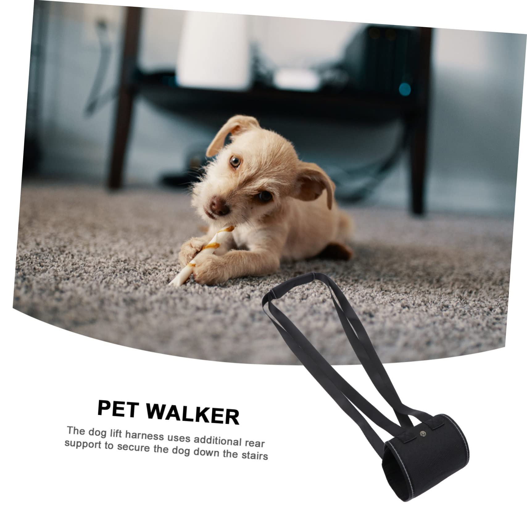 BESPORTBLE 3pièces Ceinture De Soutien pour Chien De Levage Arrière Ajustable pour Animaux Handicapés Outil De Et Entraînement pour Chiens Âgés Et Blessés
