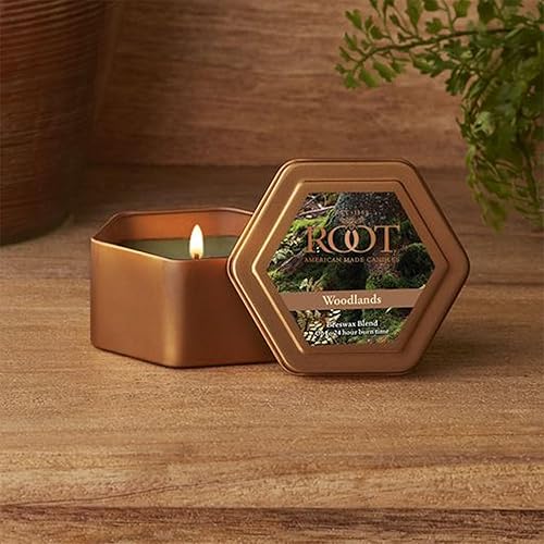 Vista 17 de Root Candles Fall Scented Candles in Travel Tin 24-Hour Honeycomb Traveler Handcrafted Beeswax Blend Candle, 4-Ounce, Ginger Chai