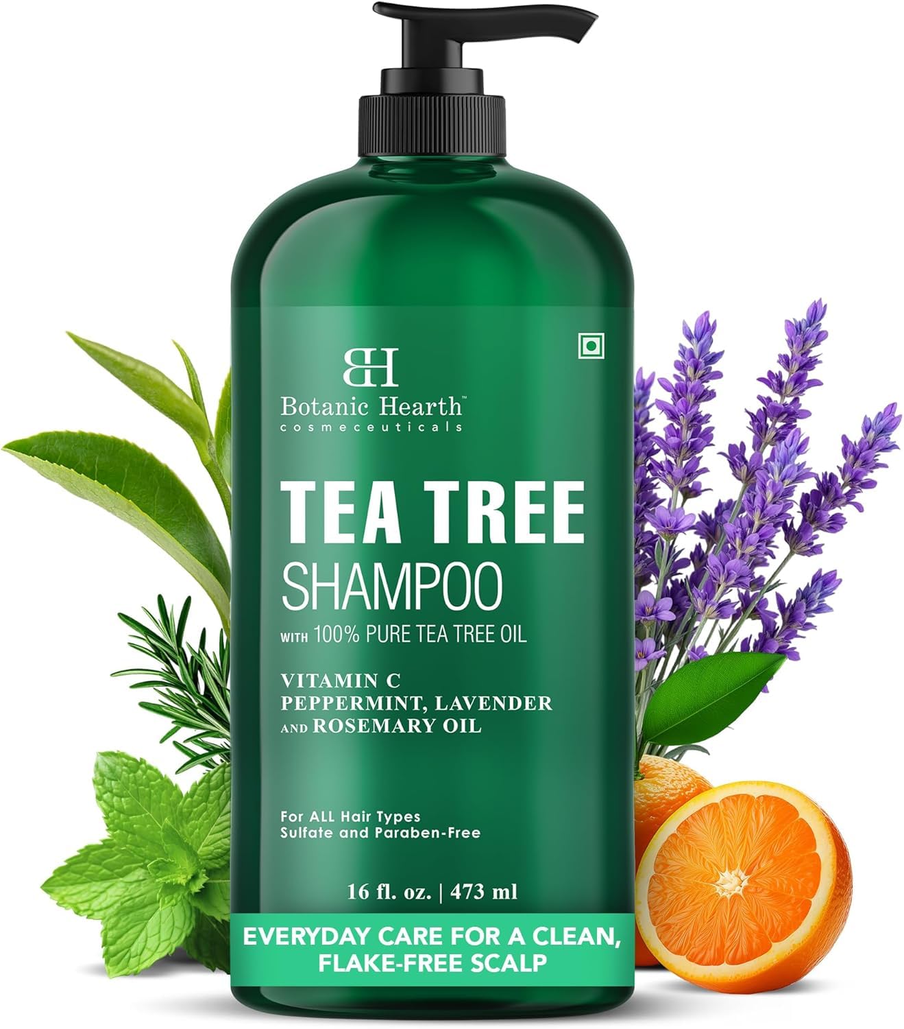 Amazon.com : Botanic Hearth Tea Tree Shampoo, Vitamin C