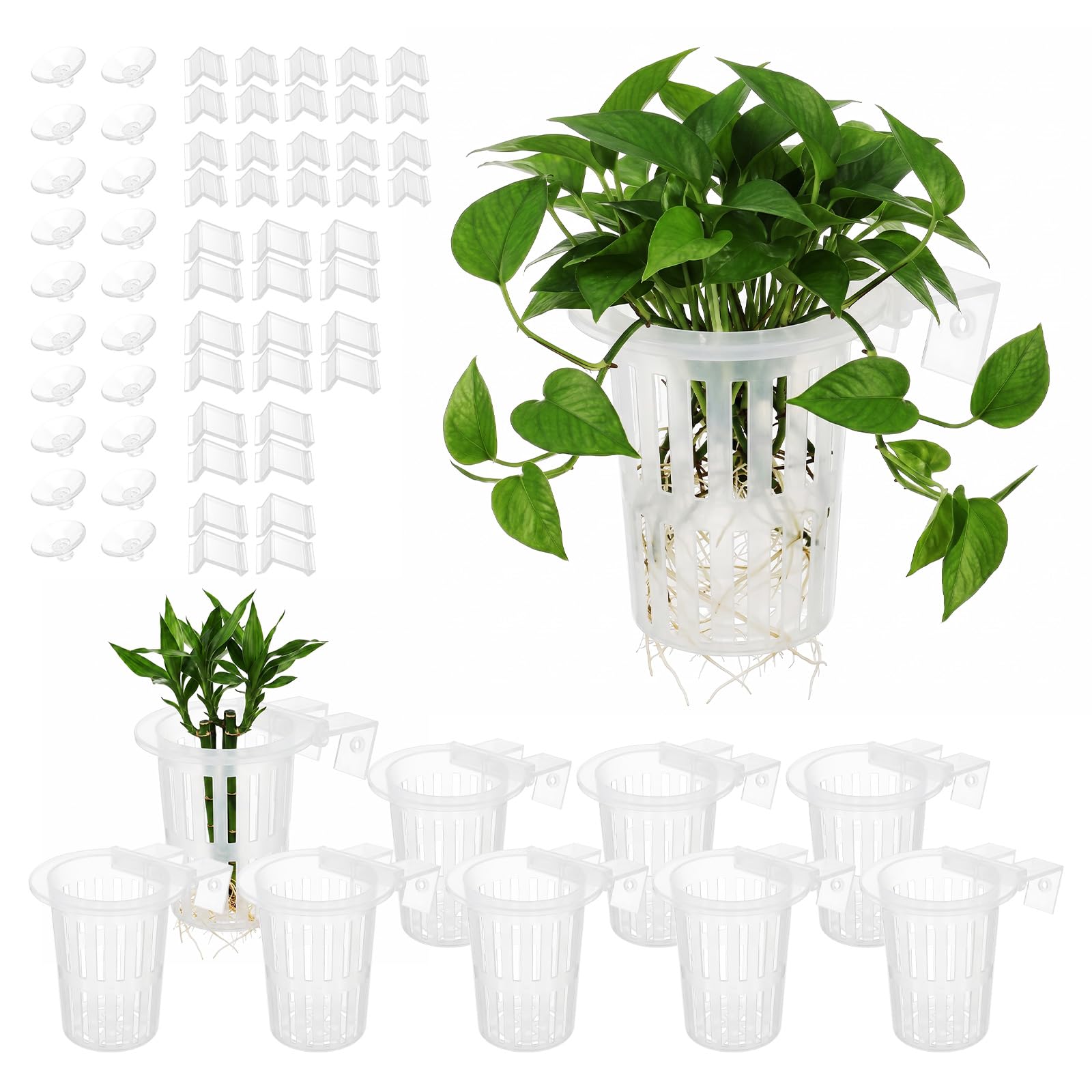 Ghshanog 10 Pack Aquarium Plant Holder, Hanging Fish Tank Plant Pot Holder with Extendable Hook and Suction Cup, Pond Plants Baskets for Hydroponic Cultivation and Water Feature Decoration(Clear)