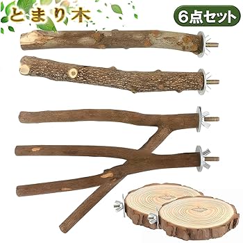 止まり木6本と1本おまけ。 Amazon | SALUDABLE 鳥 止まり木 止まり台 パーチ 自然木 インコ
