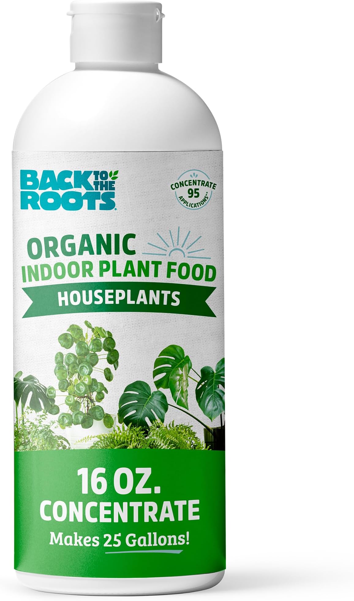 Back to the Roots Natural & Organic Indoor Plant Food (16oz Value Size - 95 F...