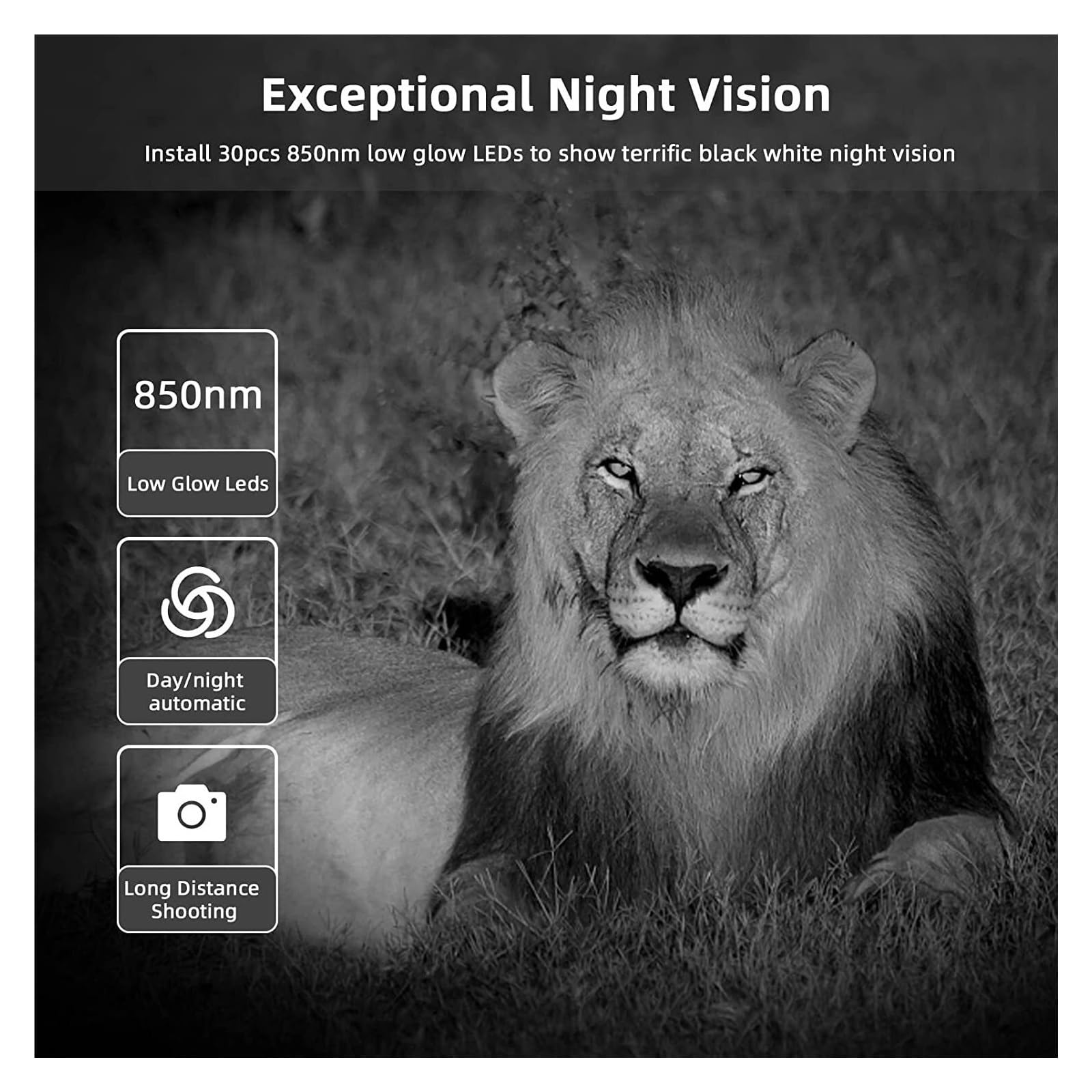 Kamera Obserwacji Dzikiej Przyrody Kamera Obserwacyjna Bezprzewodowe Kamery Myśliwskie Wildlife Night Vision Fotopułapki Monitorujące