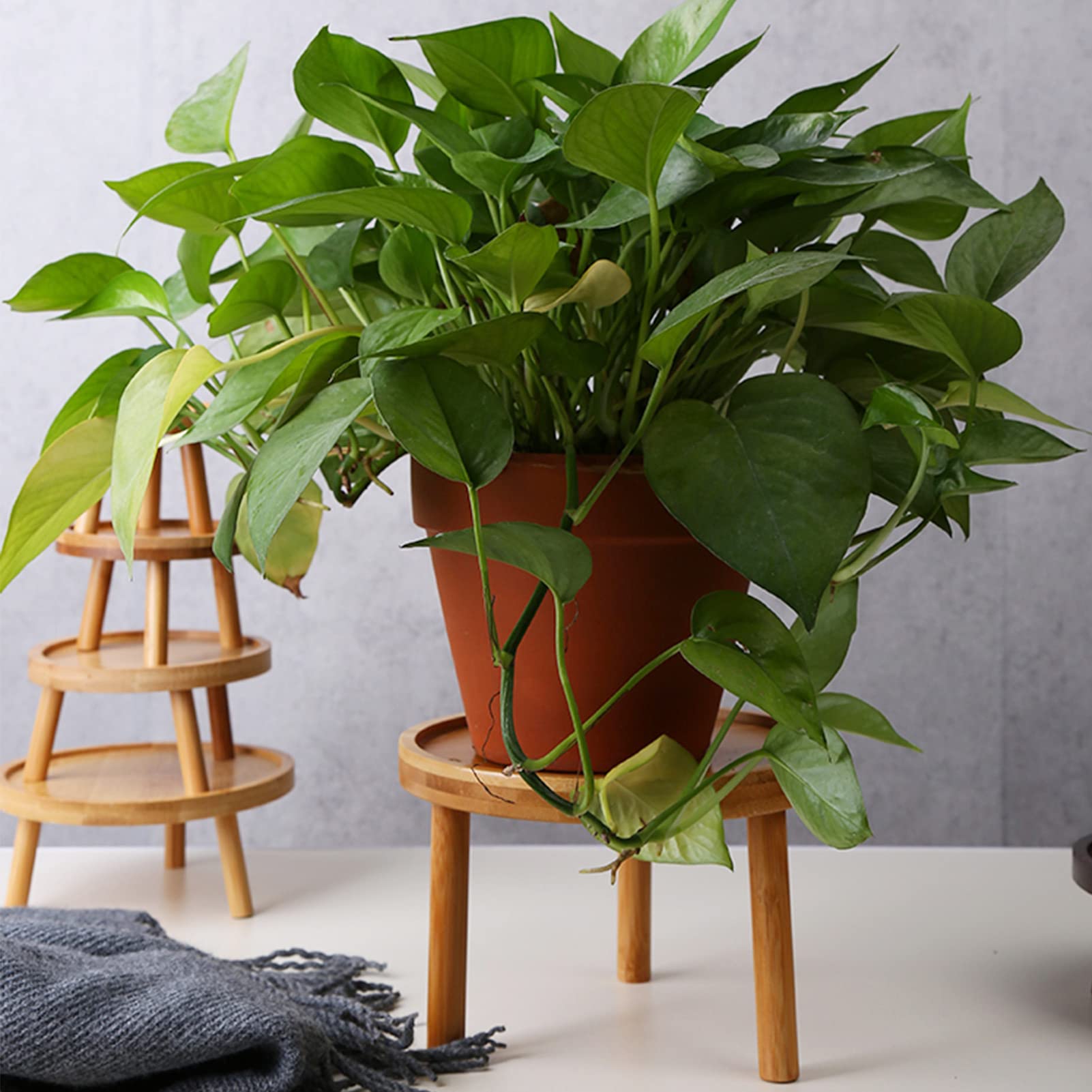 Healeved Supporto per Piante in Legno Sgabello da Interno Portavasi Rotondo Resistente e Rialzo per Piante da Balcone Superficie Liscia e Salvaspazio per Bonsai e