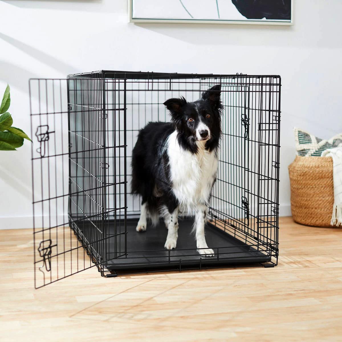 Frisco Frisco Fold & Carry Collapsible Double Door Dog Crate 48 in