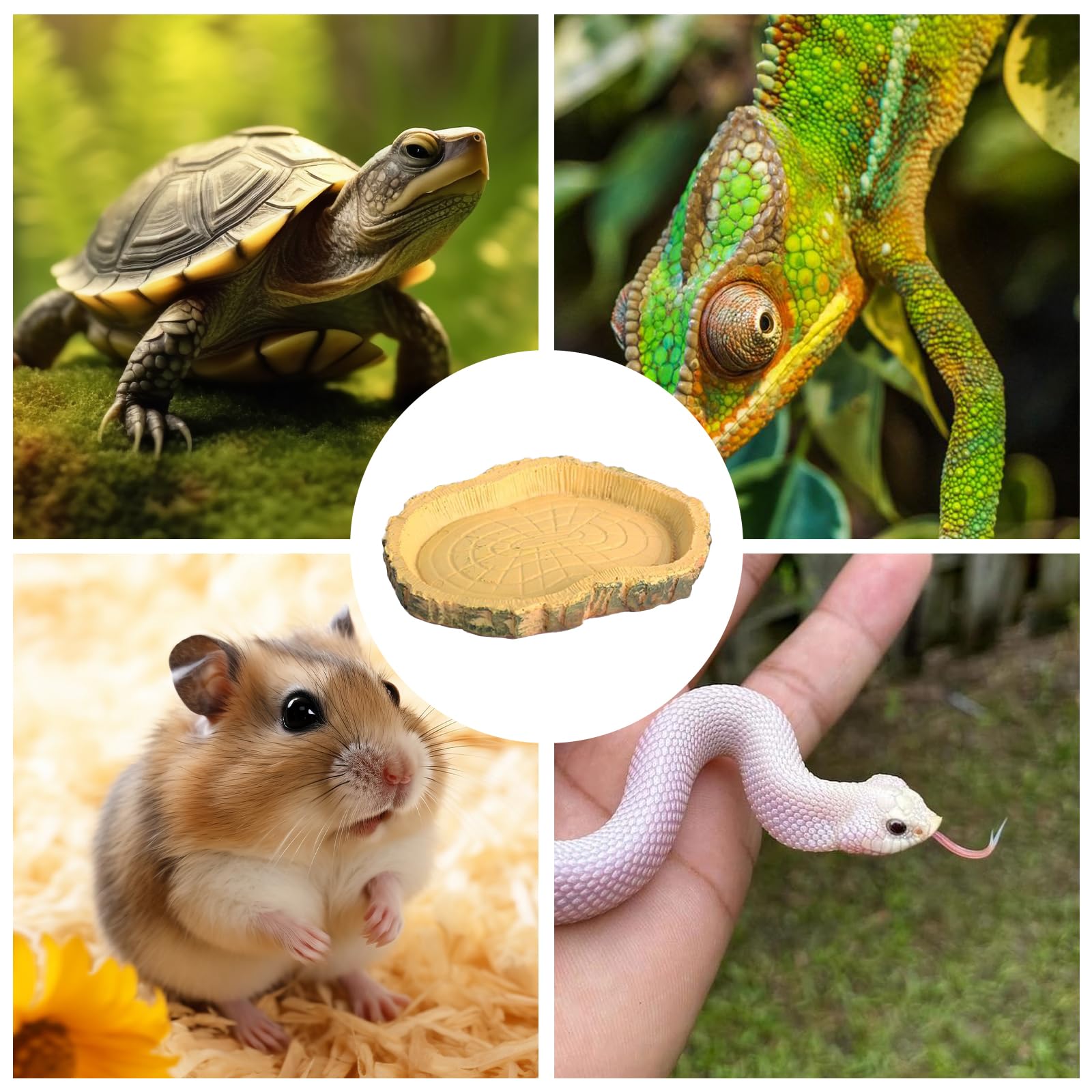 Lithyc 2 pièces Bols à Eau pour Reptiles - Abreuvoir Tortue Terrestre- Nourriture pour Bol pour Reptiles en Feuilles - Convient Aux Reptiles Et Amphibiens, LéZards, Grenouilles, Geckos, Tortues, Etc