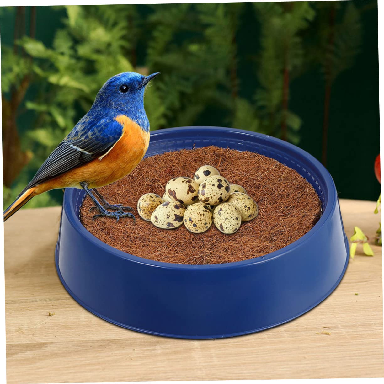 Toddmomy Nido Compatto per Piccioni in Plastica Blu Riutilizzabile e Resistente per Negozio di Uccelli e Davanzale, Accessorio Casa Utile per Nidificazione Sicura
