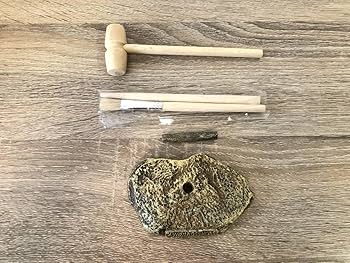 Amazon.co.jp: 恐竜 化石 発掘 キット udgravningsst excavation