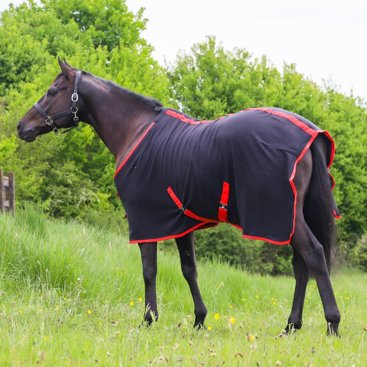 GS Equestrian Fleece Rug GSE500 [Black/Red, 81] 6,9ft