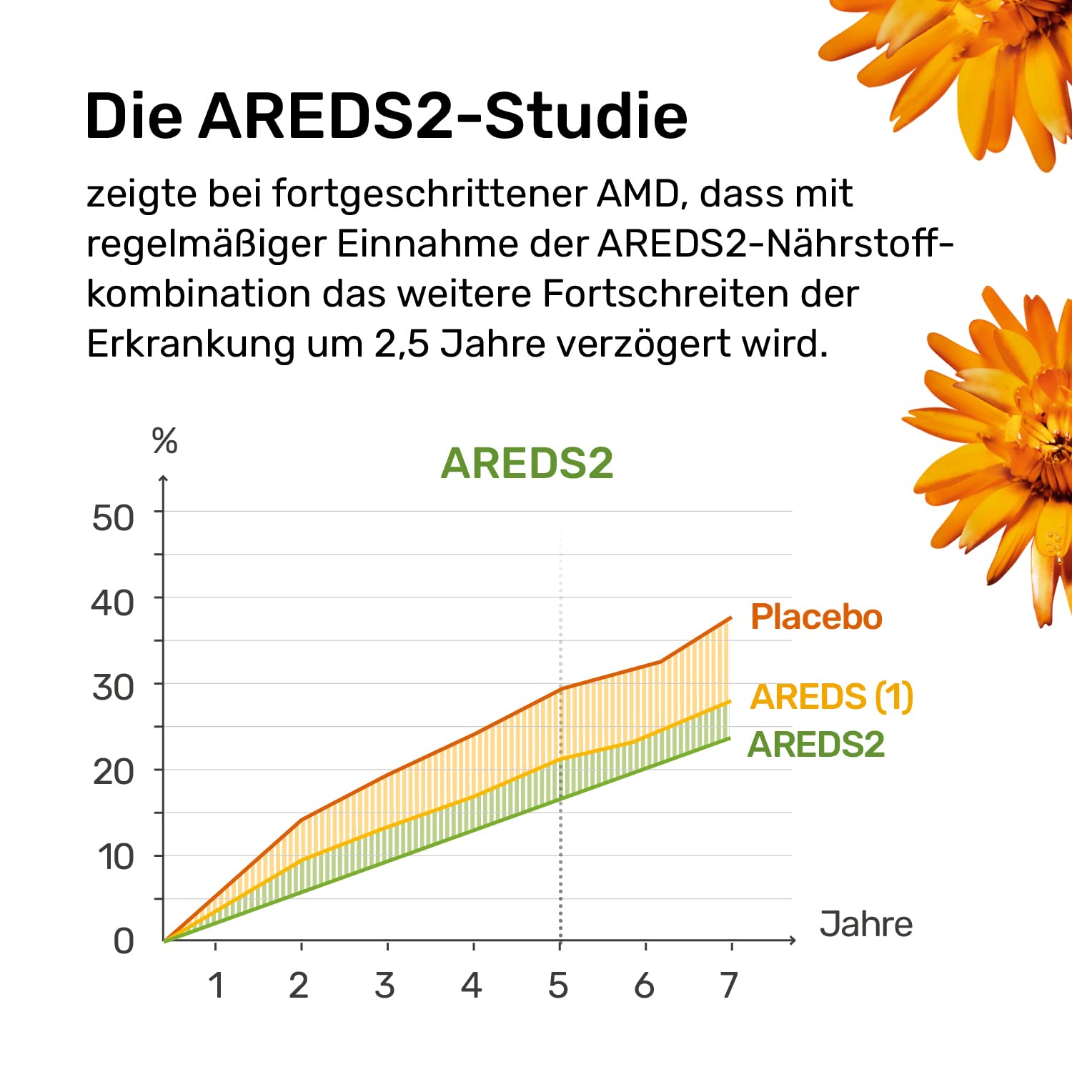 Lutamax AREDS 2 – 60 Kapseln | Lutein & Zeaxanthin | Augenvitamine bei AMD und altersbedingten Augenproblemen | 1-Monats-Pack