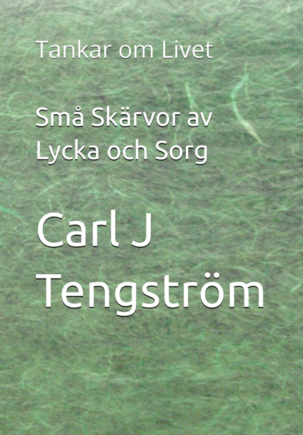 Små Skärvor av Lycka och Sorg: Tankar om Livet
