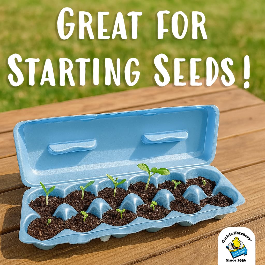 Cackle Hatchery Cartones de espuma para huevos de gallina con capacidad para 1 docena de huevos (azul, 15 unidades)