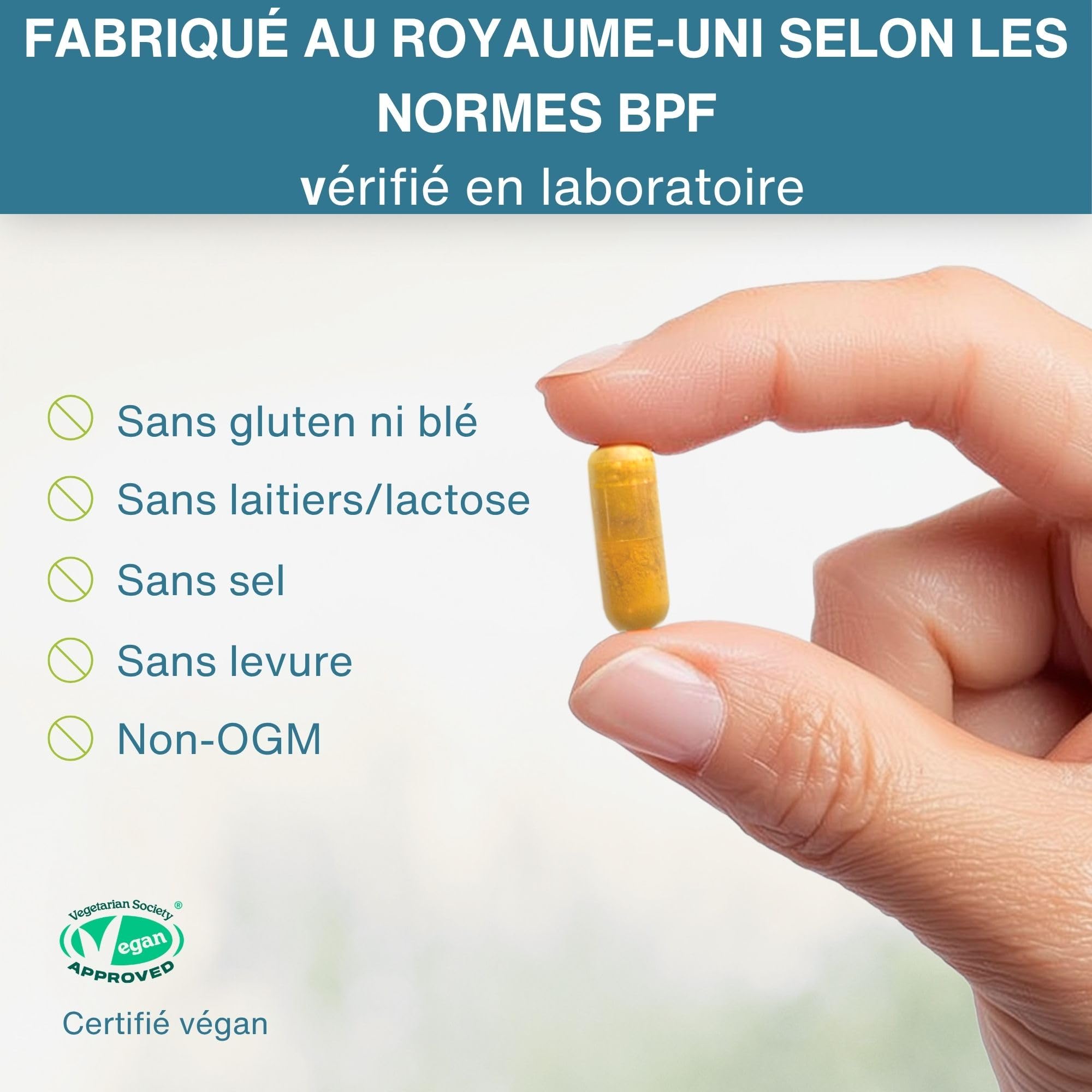 Igennus Longvida Curcumine Lipidée 500 mg, Ultra biodisponible & Action prolongée, 65x plus de concentration plasmatique, Soutien intensif, Curcumine libre, Végan, 30 capsules