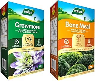 Westland 20600098 Growmore Balanced Garden Fertiliser For All Plants, 4 kg, Natural & Bonemeal Root Builder, 4 kg, Natural