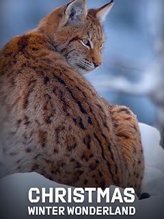 Christmas Winter Wonderland