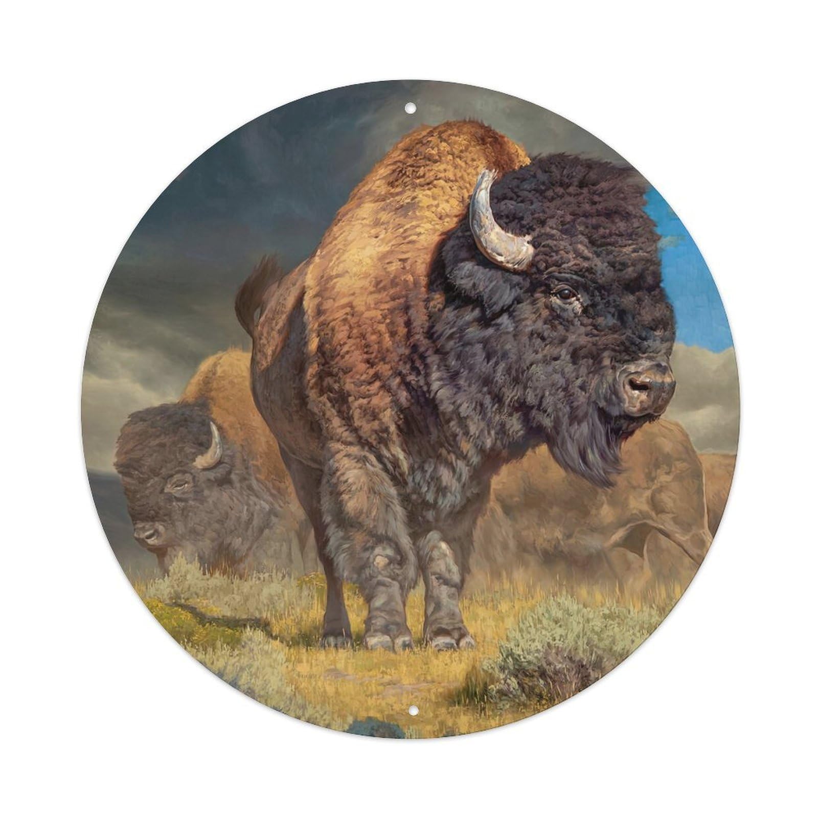 Animal Artwork Cattle on The Prairie Metal Tin Sign