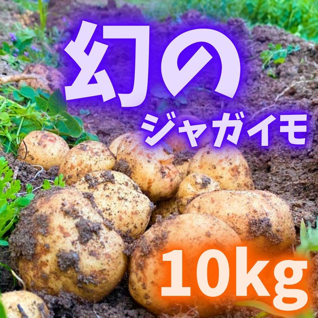 幻の　じゃがいも　ジャガイモ　07 幻の じゃがいも ジャガイモ 07 幻の じゃがいも ジャガイモ 07 10年目
