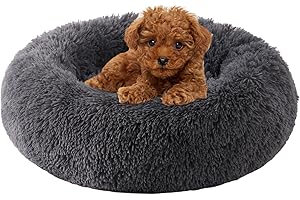 Calming Little Dog Bed for Small Furry Friends