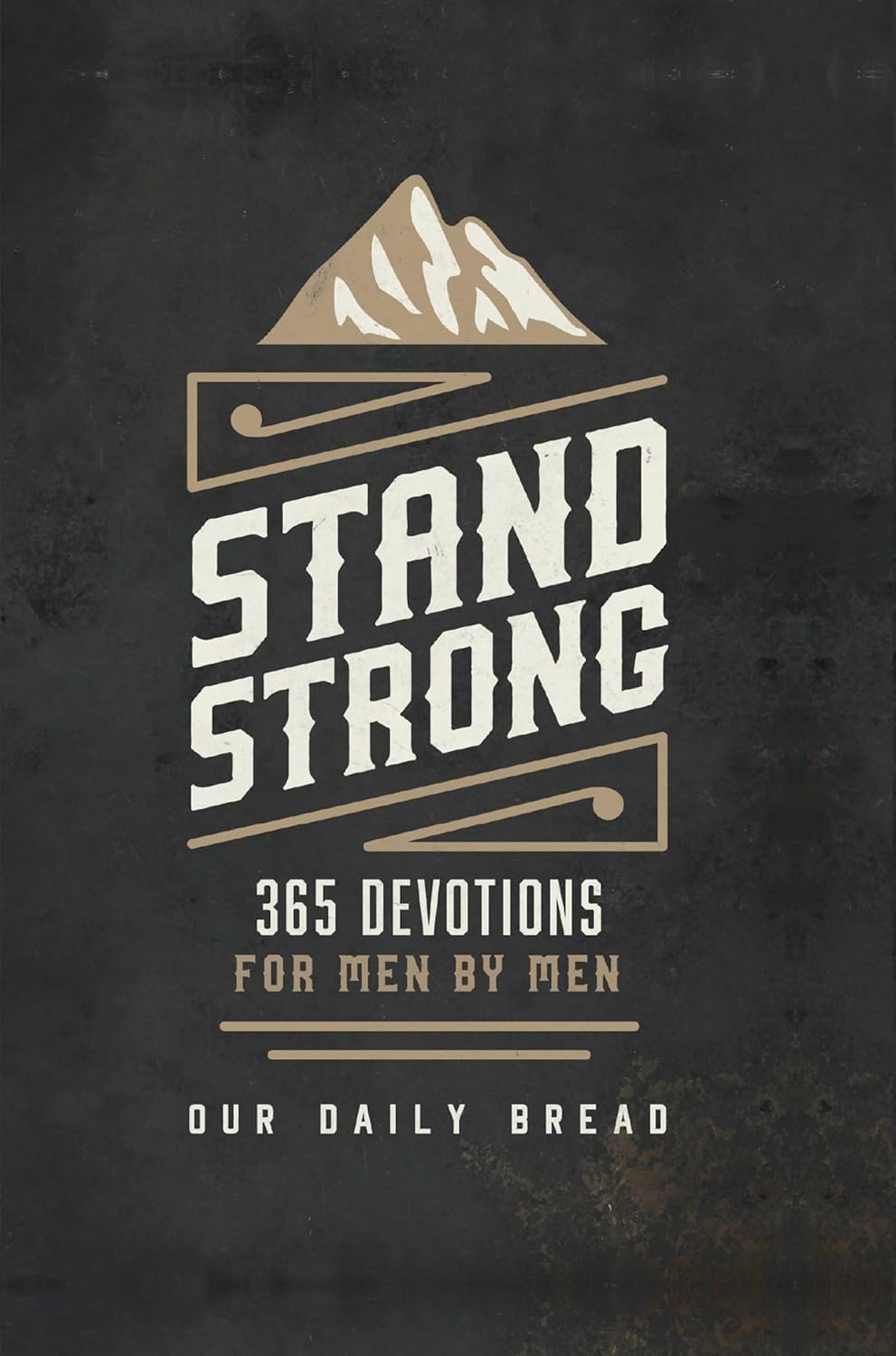 Stand Strong: 365 Devotions for Men by Men from Our Daily Bread