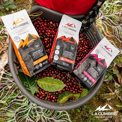 Miniatura 5 de La Cumbre Specialty Coffee molido tostado medio, granos arábica, bajo en ácido, gourmet, vegano, apto para Kosher y Keto, paquete variado de 12