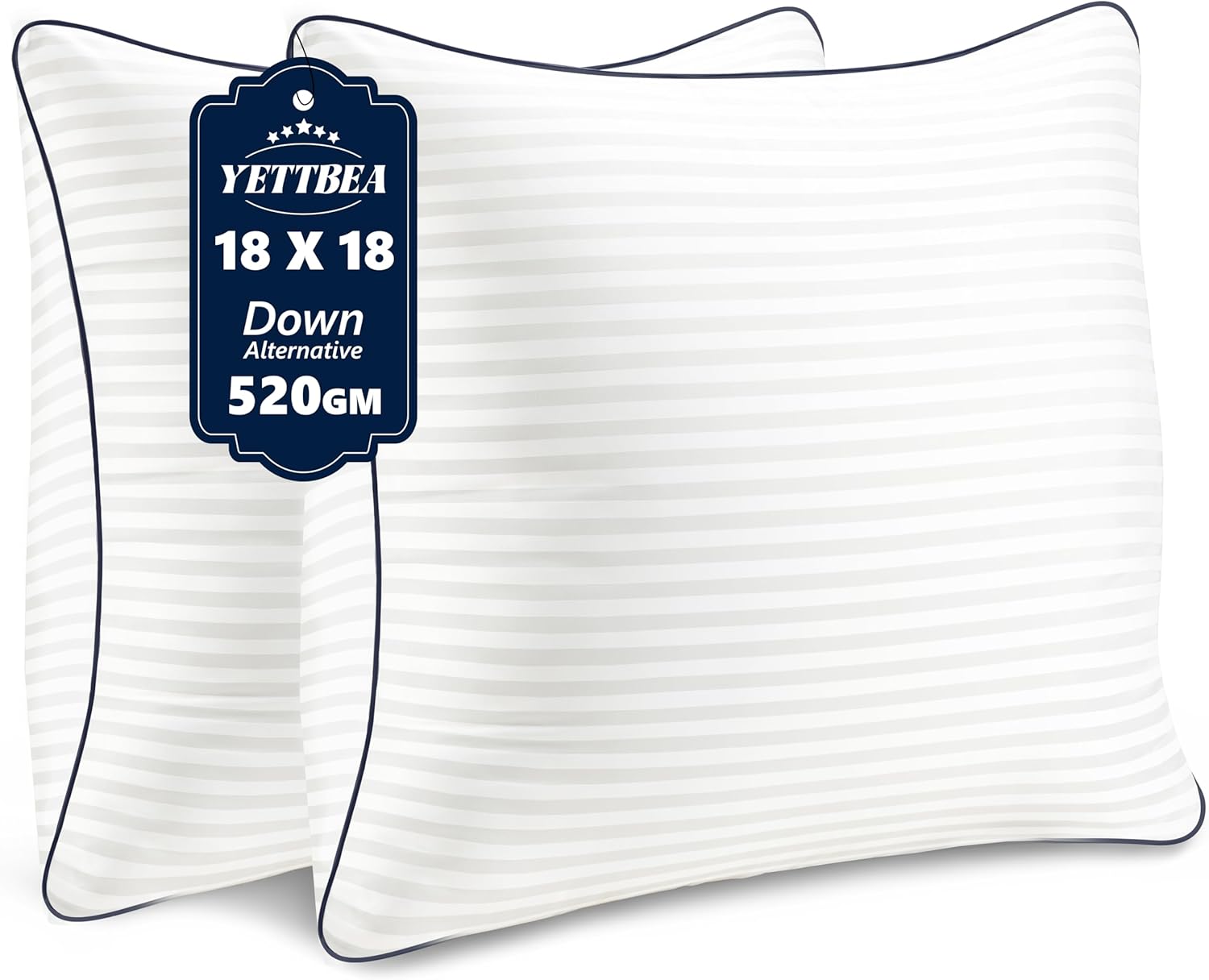 Throw Pillows Insert, 18” x 18” Set of 2, Decorative for Couch, Sofa or Bed with Premium Down Alternative Filled, White