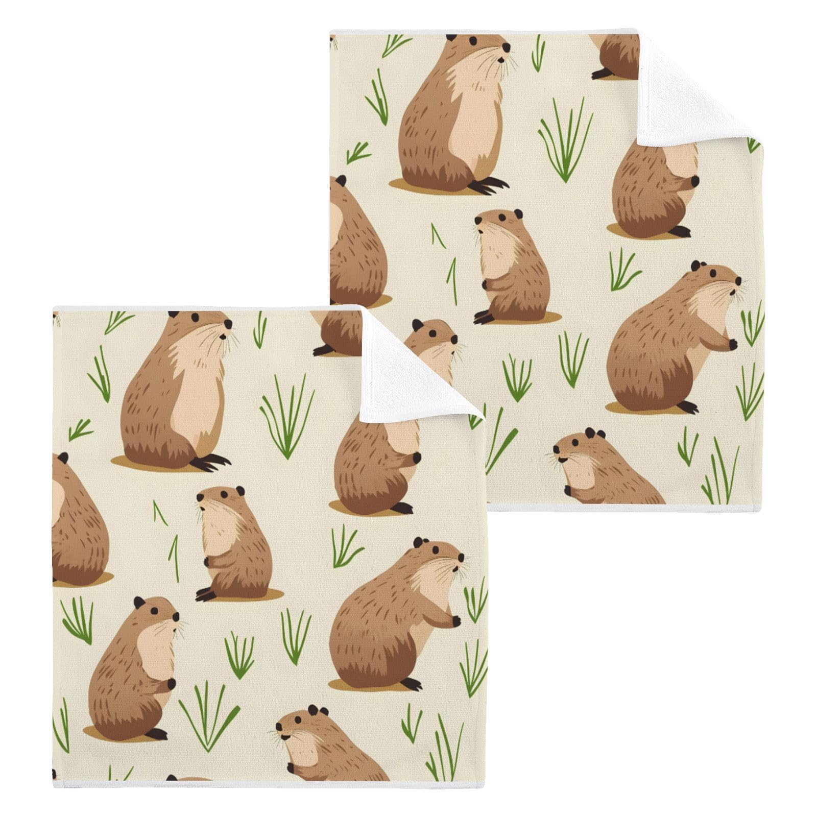ALAZA Wash Cloth Set 100% Cotton Fingertip Towels Face Cloths Sets Groundhog Grass Highly Absorbent Soft Feel Set of 2