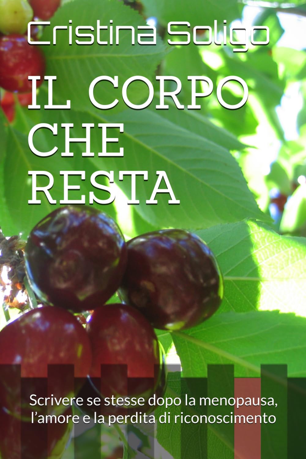 IL CORPO CHE RESTA: Scrivere se stesse dopo la menopausa, l’amore e la perdita di riconoscimento