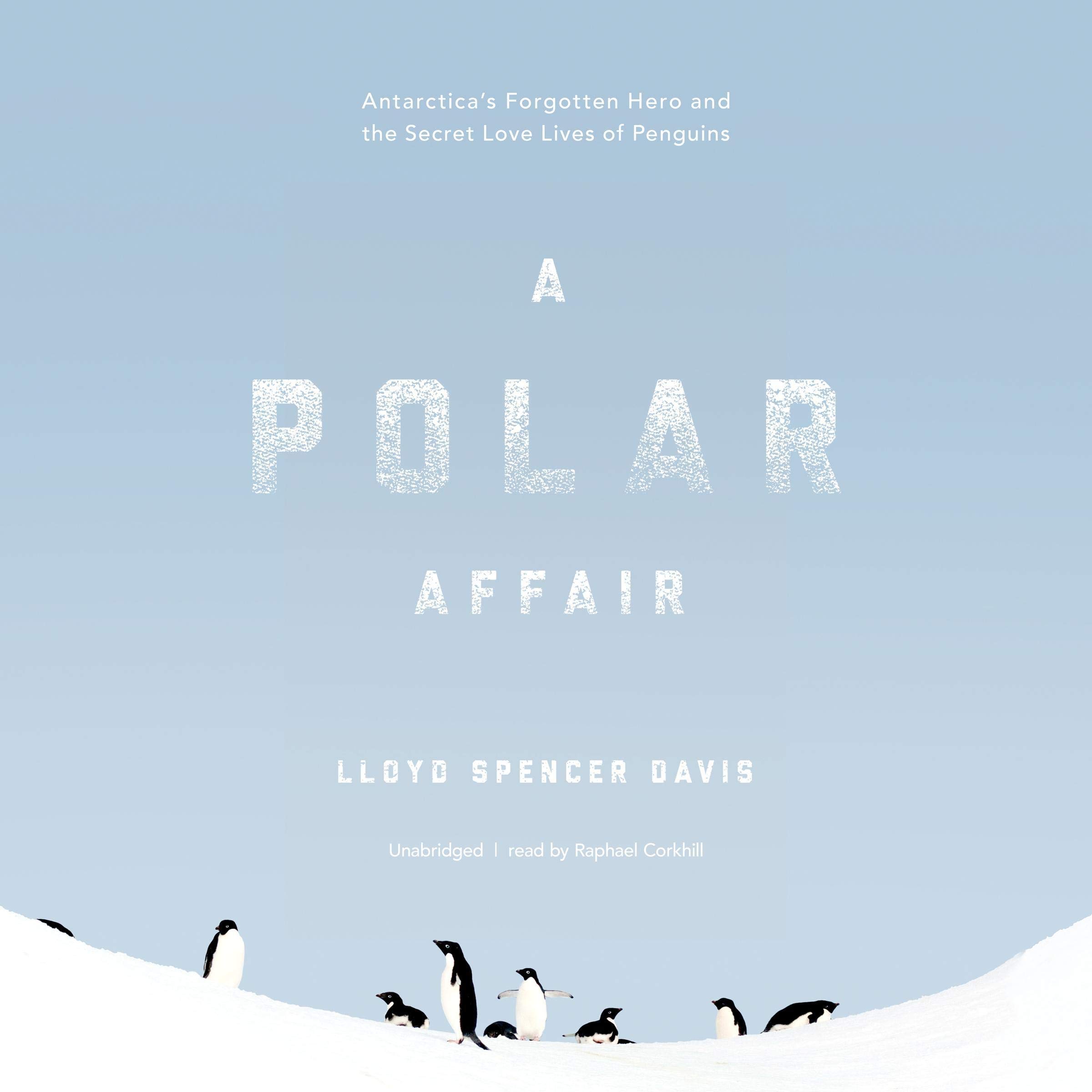 Cover art for A Polar Affair