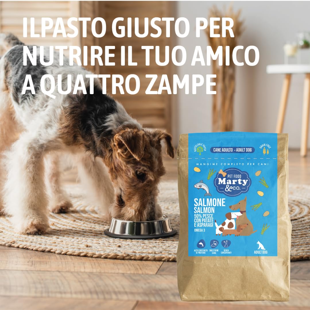 Marty&Co Croquettes pour chiens adultes, taille moyenne/grande, sans grain, monoprotéine, sans gluten (saumon, 3,5 kg)