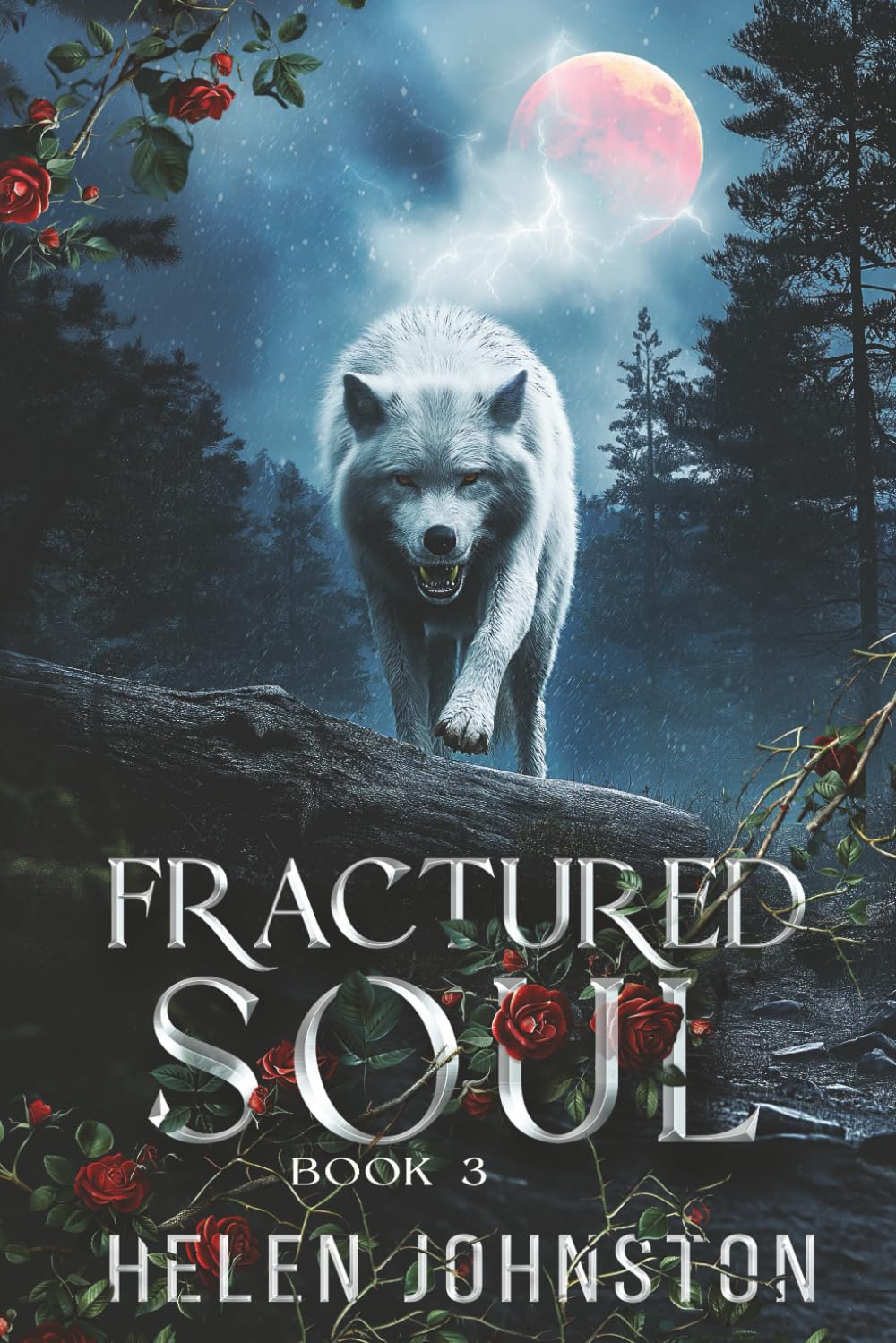 Fractured Soul (The Wolf Pack)