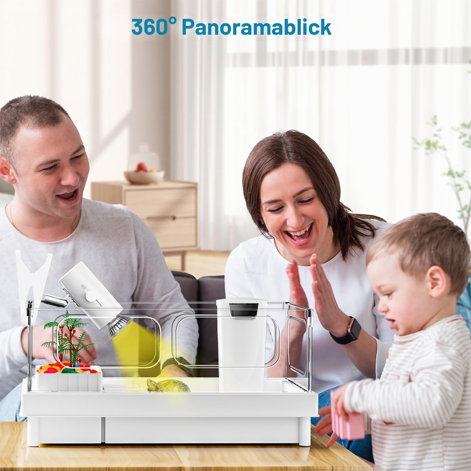 Geegoods Schildkröten-Tank-Set, kleines Schildkröten-Tank-Starter-Set, Schildkröten-Aquarium mit Licht, Filter, farbigen Felsen, Bürste und kleine Pflanze für Schildkröten, Krebse, kleine Reptilien