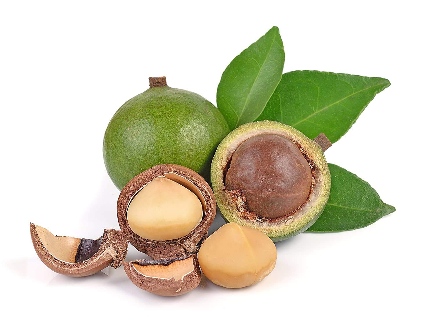 Wooq Organics Premium Macadamia Nuts (200g) - Image 7 thumbnail