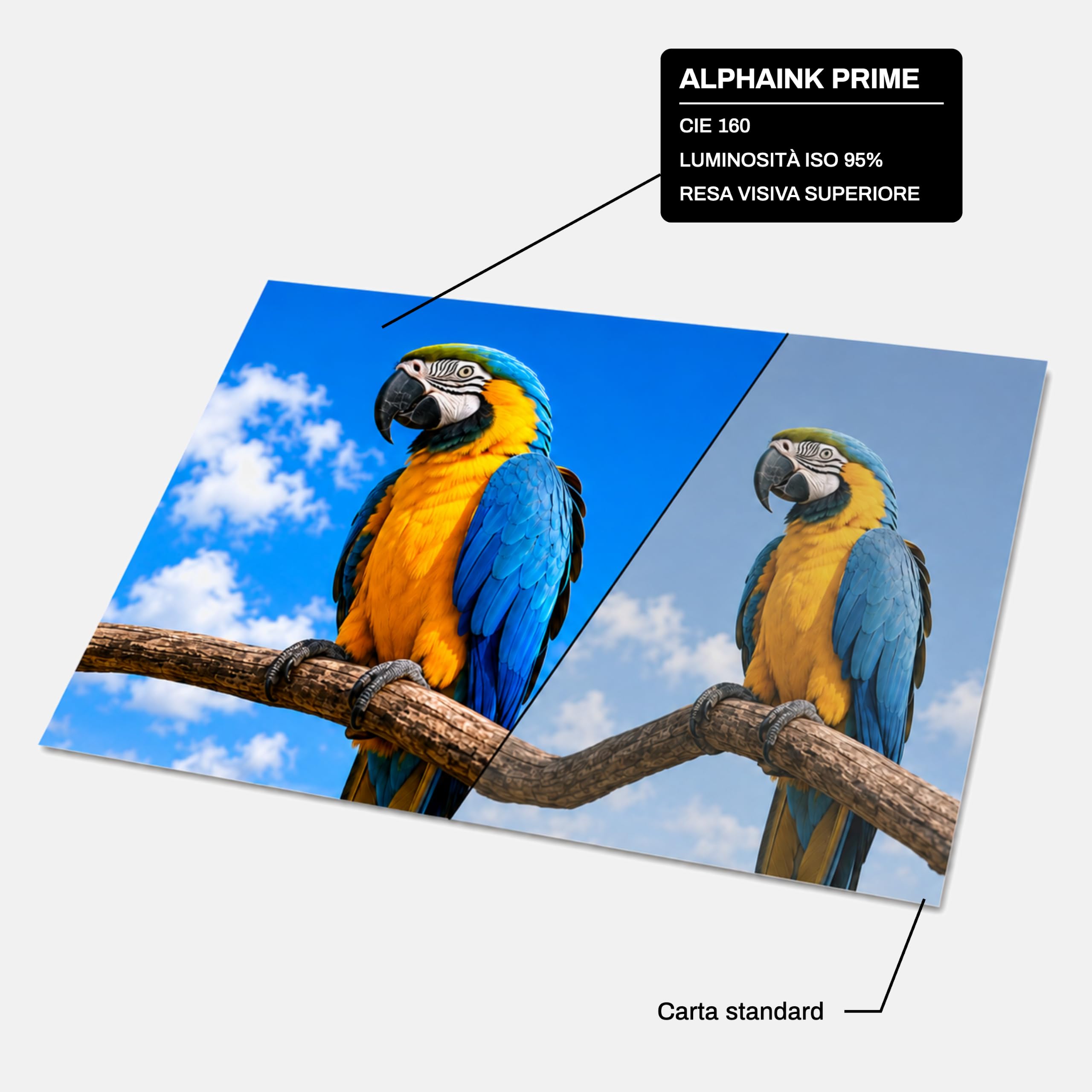 Alphaink Carta A4 80gr Dichiarata, 20 Risme da 500 Fogli, 10000 Fogli per Stampante Laser Inkjet e Fotocopie, CIE 160, FSC, Ecolabel, ISO 9706