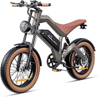 E Bike Herren, 20 * 4.0" All-Terrain Fat Reifen Elektrofahrrad mit 250W Motor 48V 18.2Ah Akku, bis 25km/h bis zu 161km, NFC-Karte 7-Gang Getriebe Hydraulische Bremsen, M20