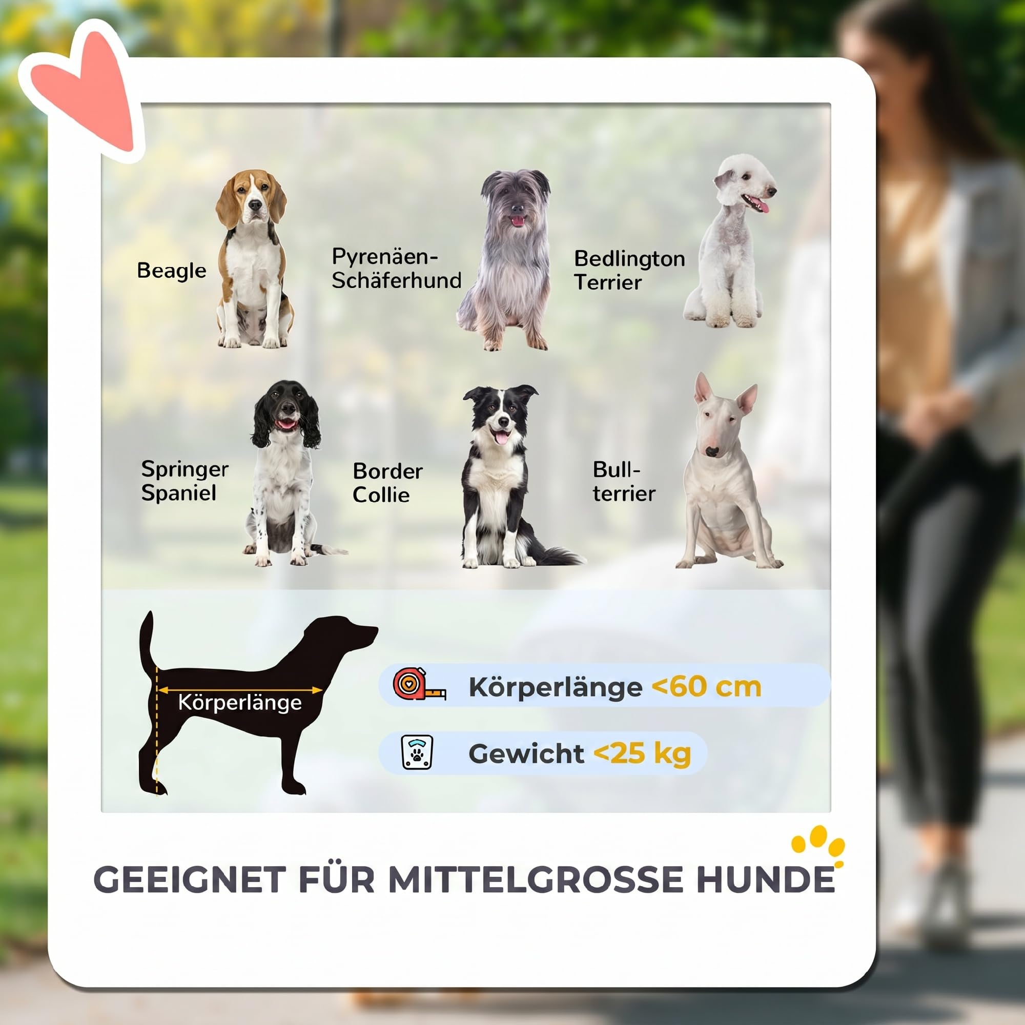 PawHut Poussette pliable pour grands chiens et chats jusqu'à 30 kg - Avec coussin, fenêtres en filet, portes, sac de rangement - Marron