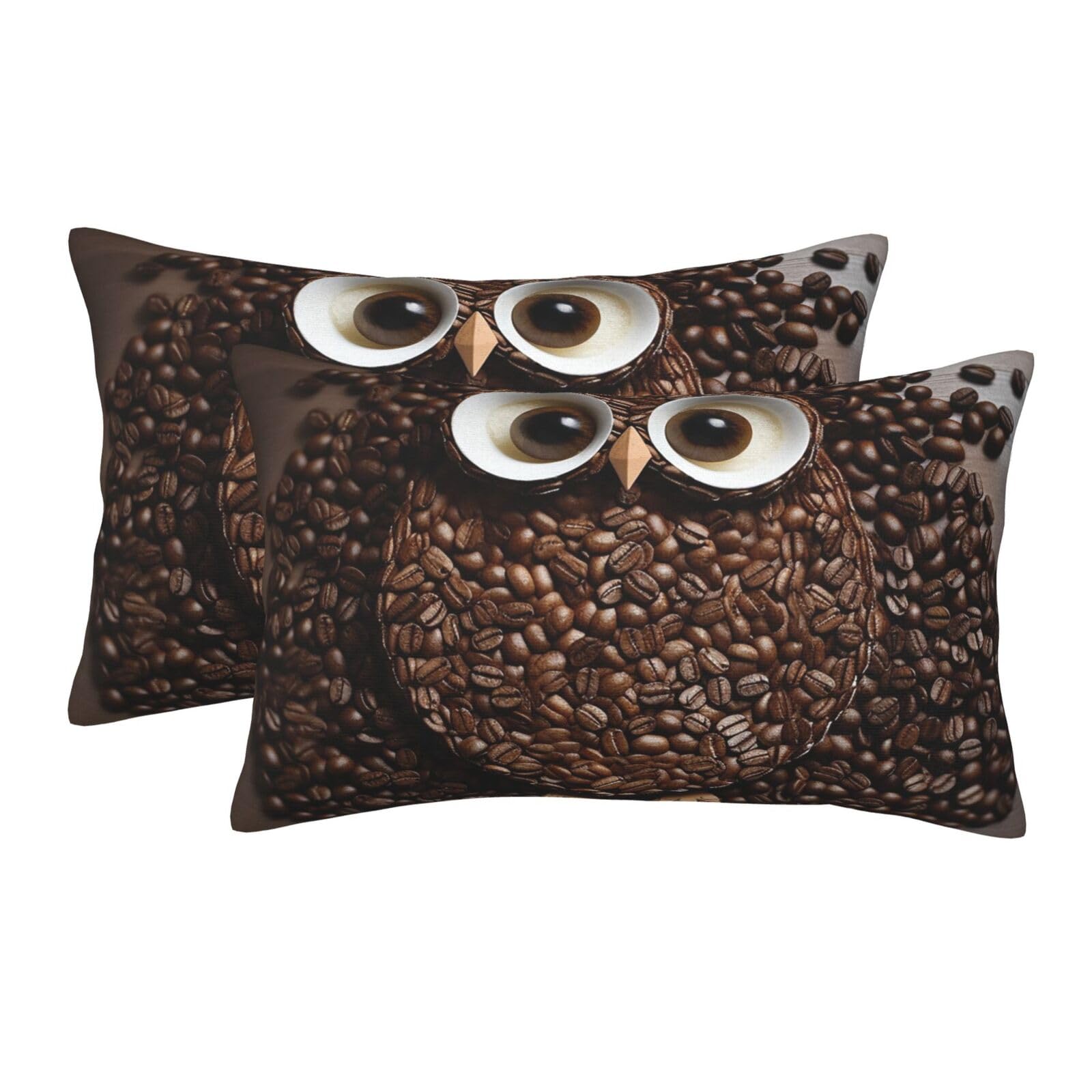 2 Pack Pillow Cases with Hidden Zipper, Soft Breathable Pillow Covers for Hair and Skin, Coffee Bean owl Pillowcases 20"x30" Bed Pillow Protectors Cover for Sleeping Gifts