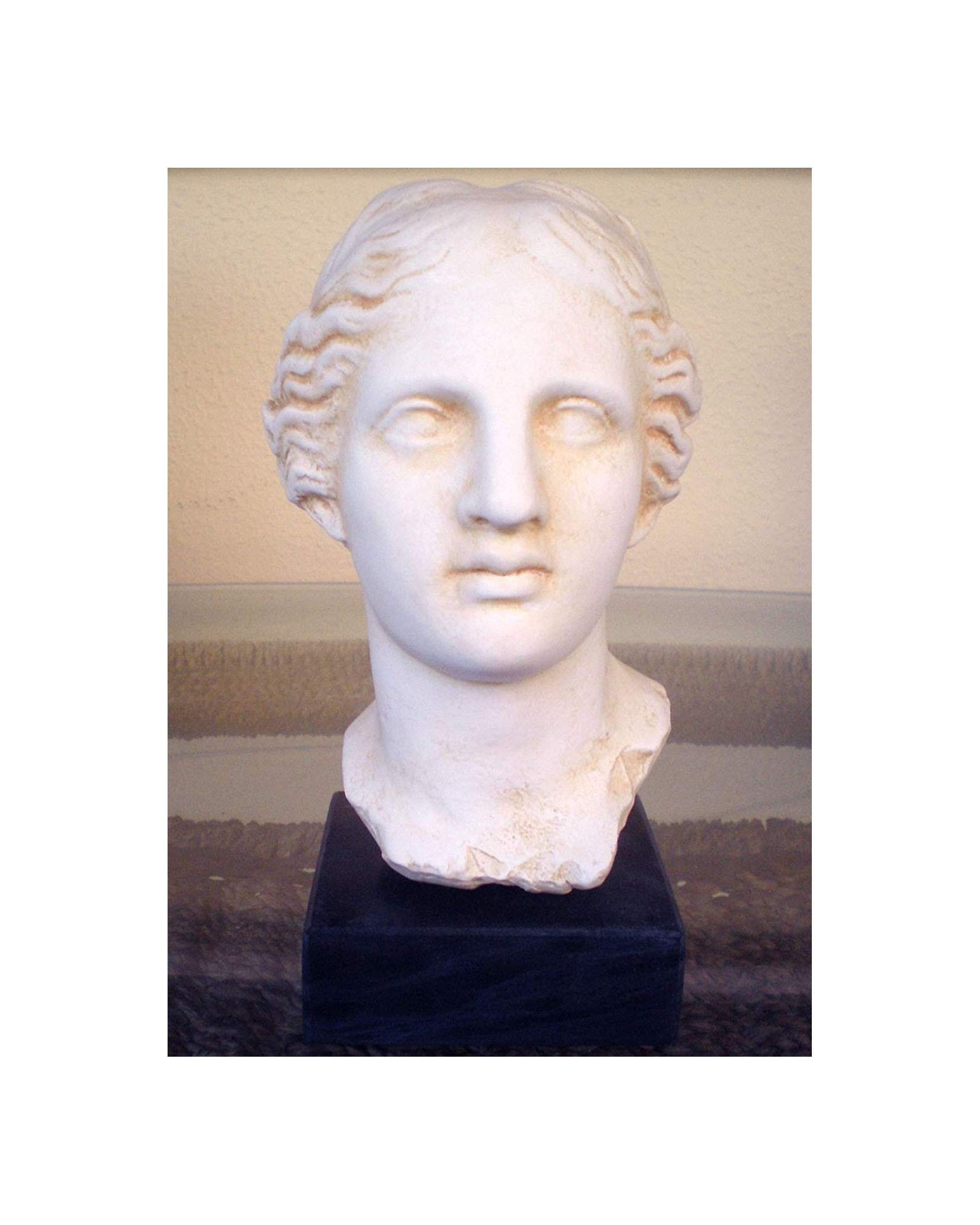 Estia Creations White Aphrodite Bust - Goddess Of Love Beauty - Venus