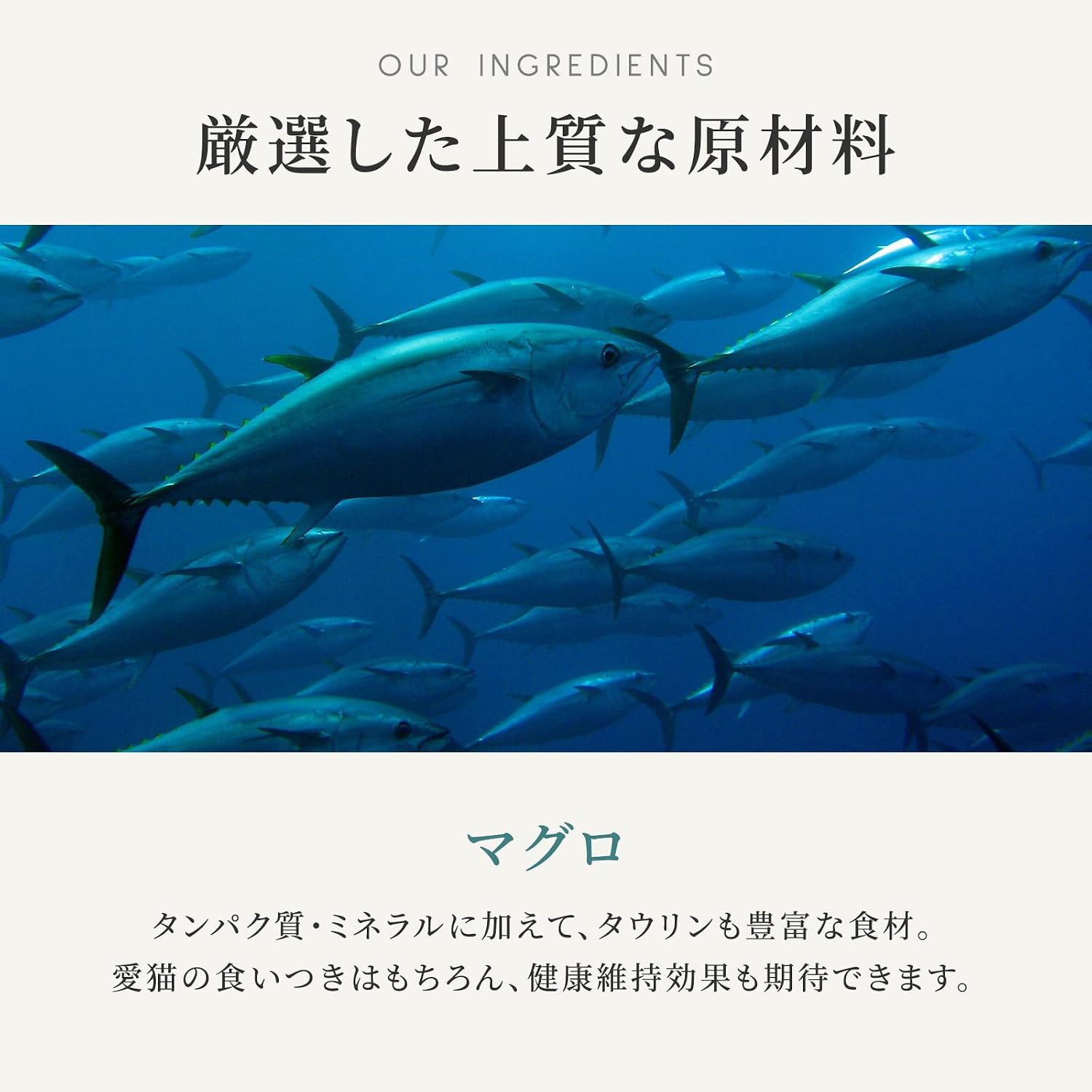 カナガン キャットフード マグロ 缶詰