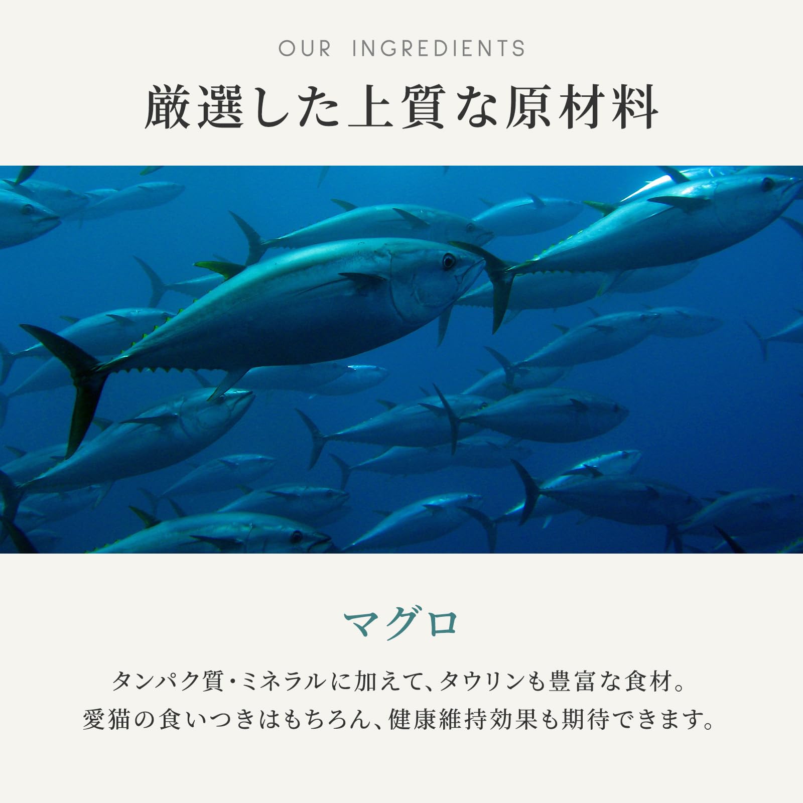 Amazon.co.jp: カナガン キャットフード マグロ 缶詰 (75g×12缶