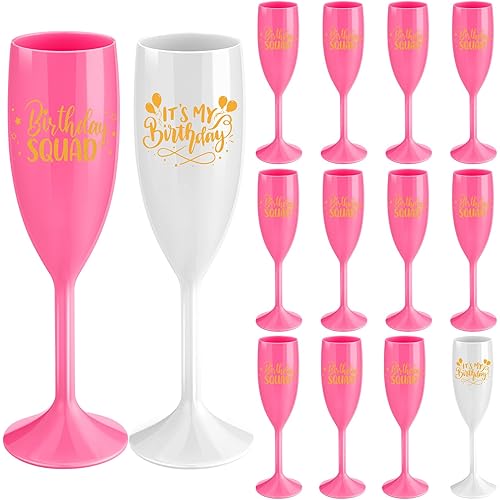 LemonRoad 10 Pcs Birthday Squad Champagne Flutes It's My Birthday Party Decorations Acrylic Toasting Glasses Reusable Unbreakable Plastic Champagne Cups for Women Bachelorette Party Supplies