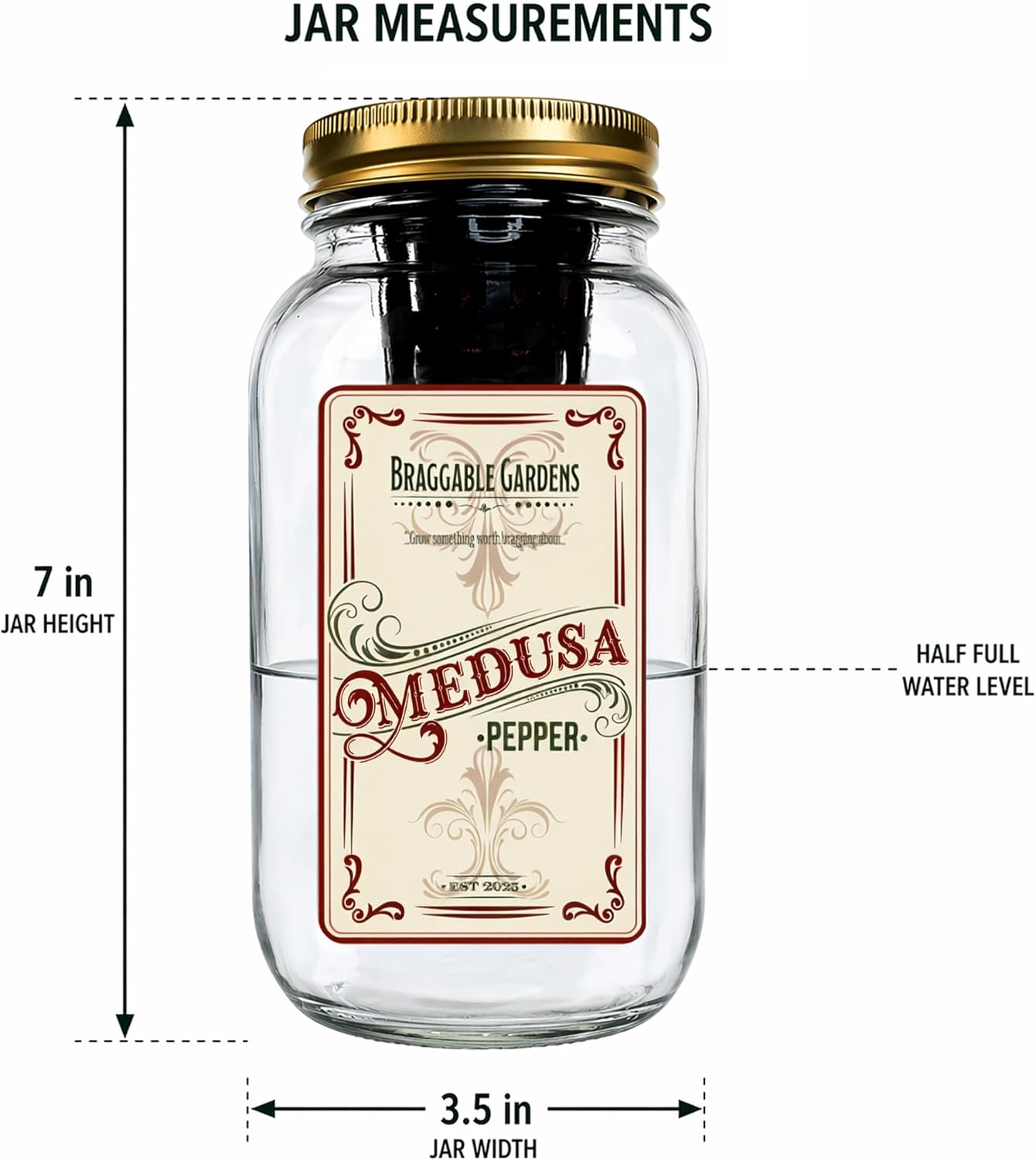 Braggable Gardens Medusa Pepper Indoor Garden Kit – Mason Jar Hydroponic Pepper Grow Kit – Windowsill Countertop Pepper Plant – Grow Ornamental Chili Peppers Indoors