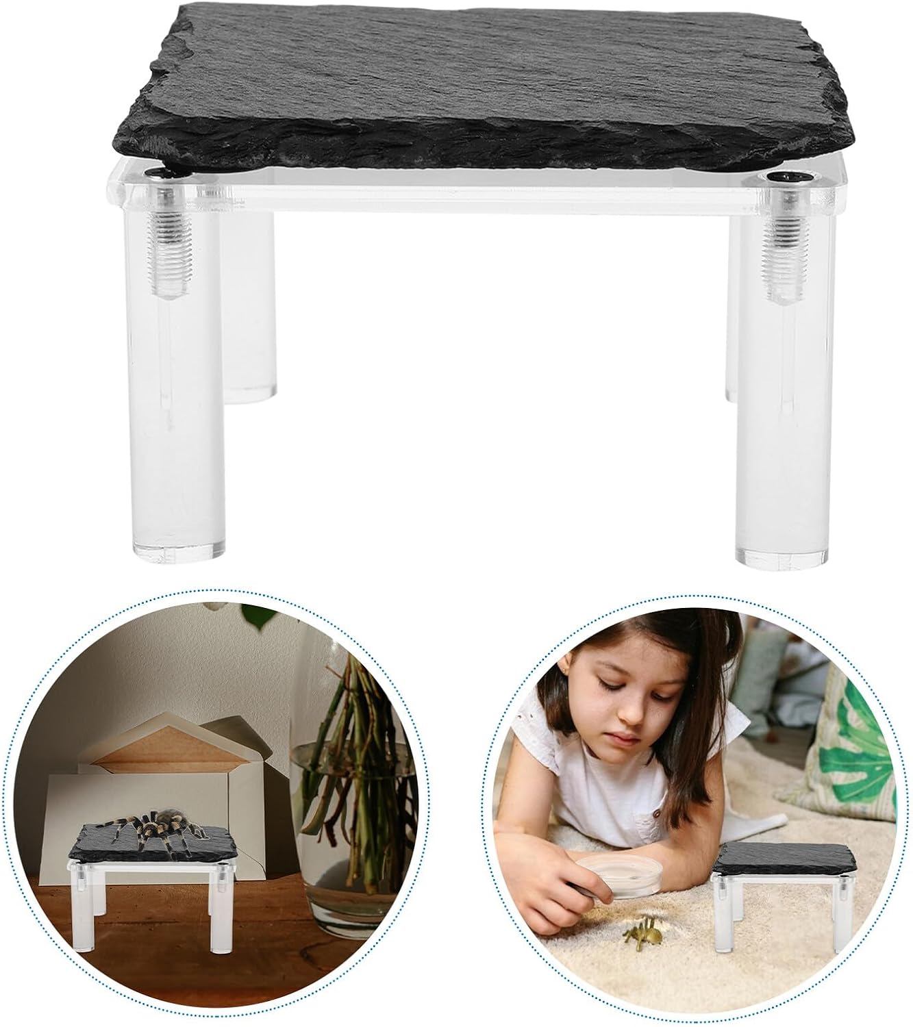 Reptile Basking Platform Rock Plate for Tortoise and Lizard
