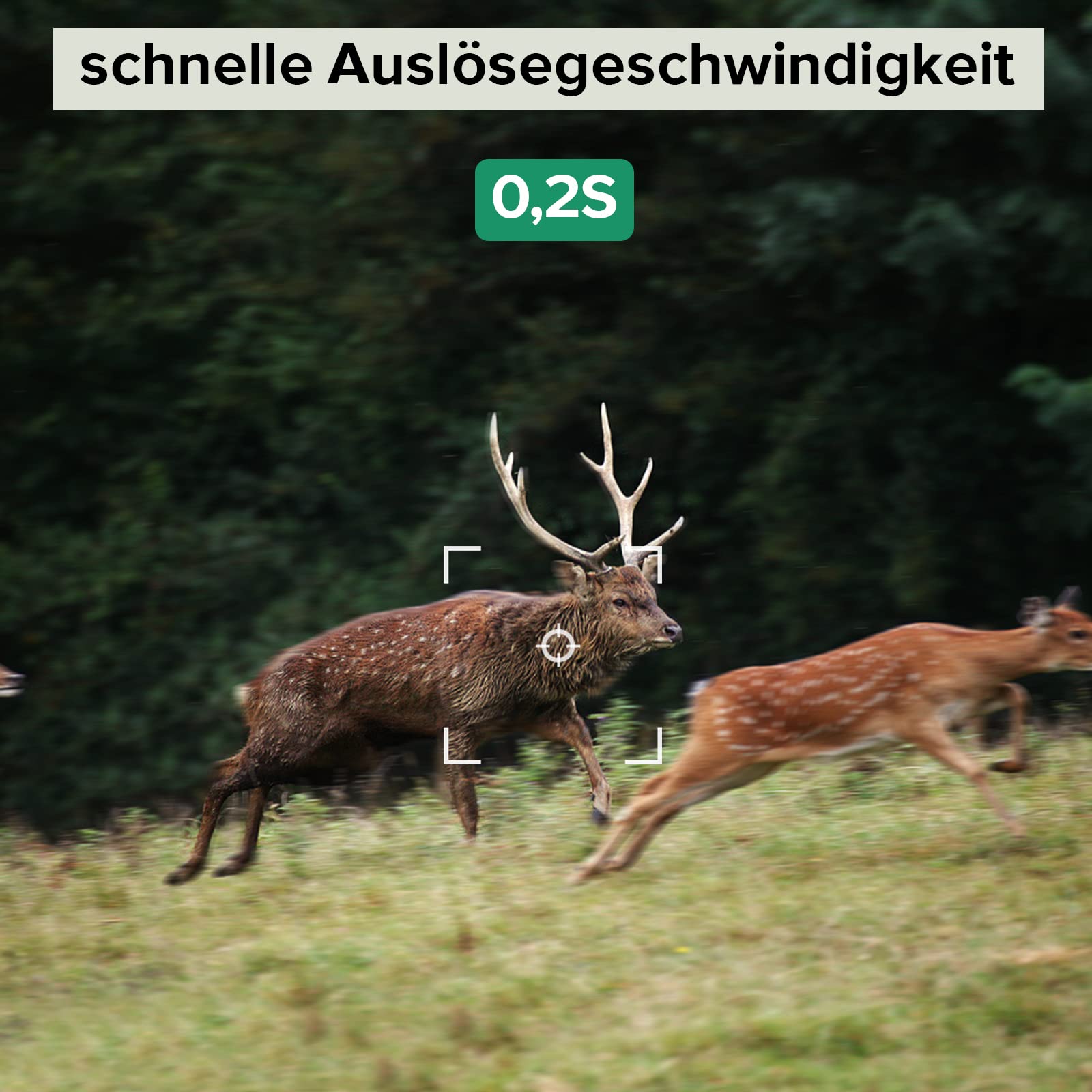 JOH Wildkamera 32MP 1520P 2,7K mit Bewegungsmelder Nachtsicht 0,2s Auslöser IPX5 wasserdichte Wildtierkamera